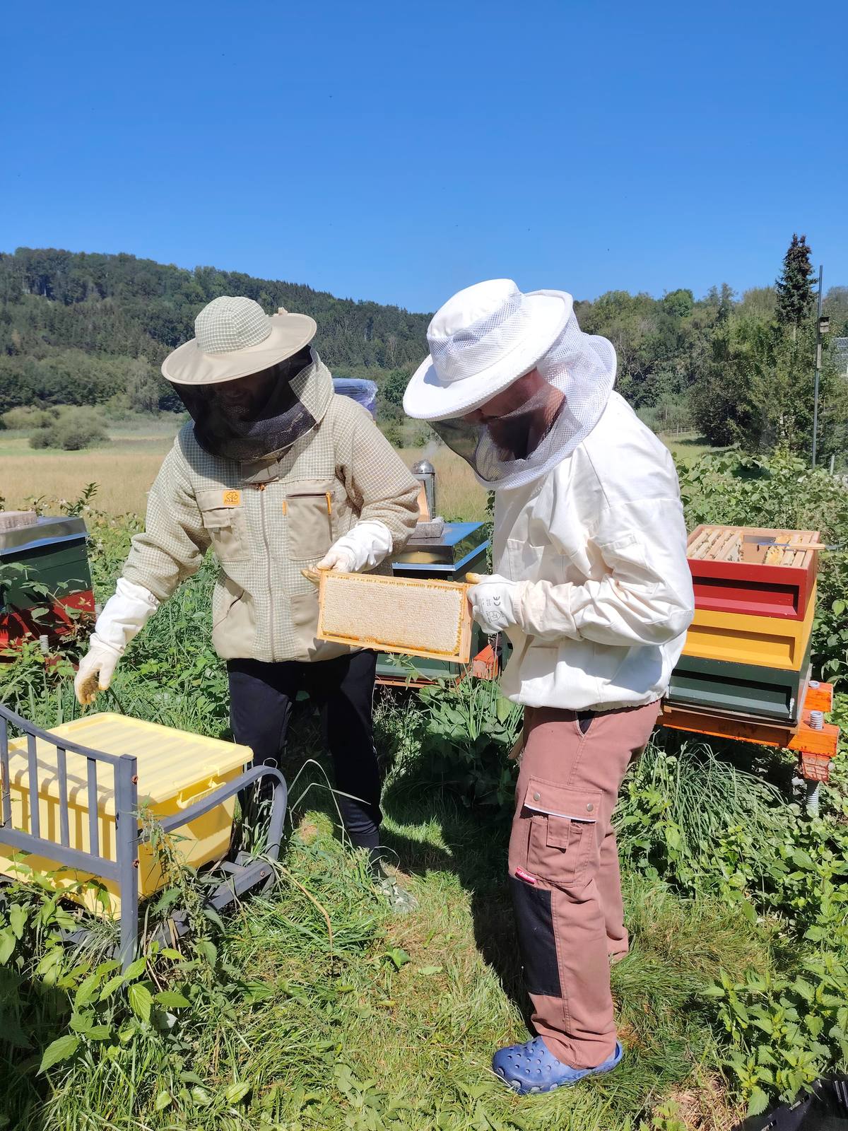 Joachim und Lukas Meßmer am Bienenstand, beide im Imkeranzug